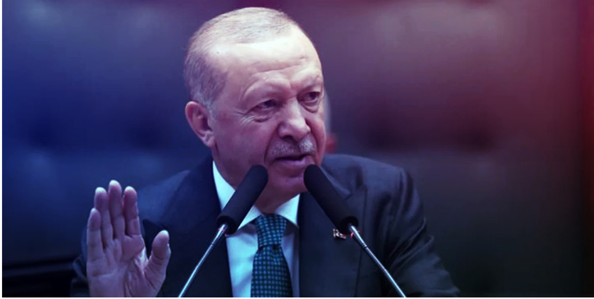 أردوغان: تركيا ستتصدى لأي مخططات تستهدف أمنها واستقرار المنطقه