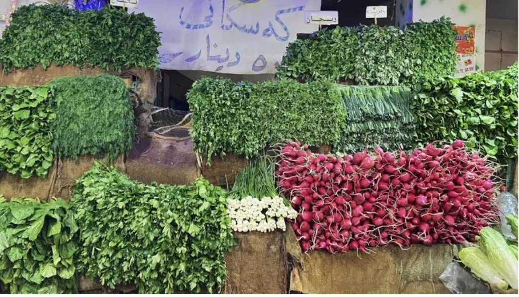 كوردستان تعلن تحقيق الاكتفاء الذاتي من الخضروات وتزويد أسواق وسط وجنوب العراق
