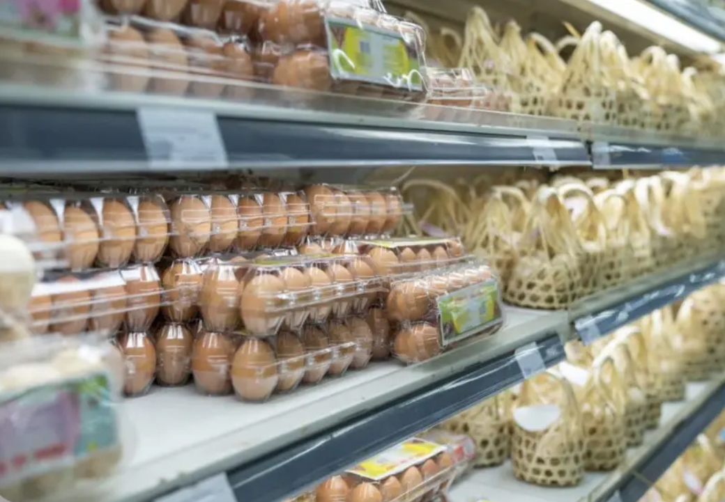 الزراعة العراقية تتحرك لكبح ارتفاع أسعار البيض والدواجن والمنتجات الغذائية